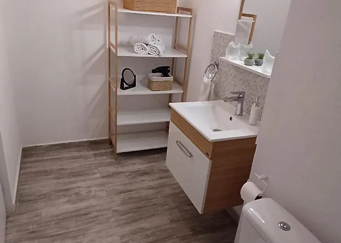 Neferprod - Is - Cam 04 Timişoara